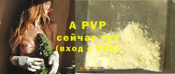трава Аркадак