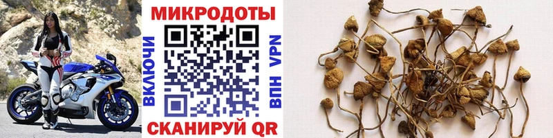 цена наркотик  Таштагол  Псилоцибиновые грибы мухоморы 